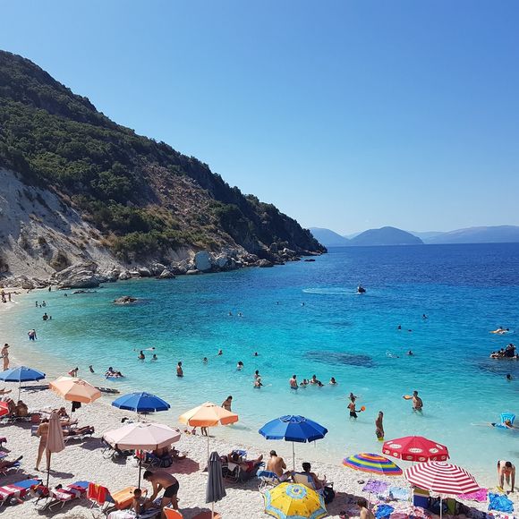 Meet your Posher, Faye - Picture 1 of 1